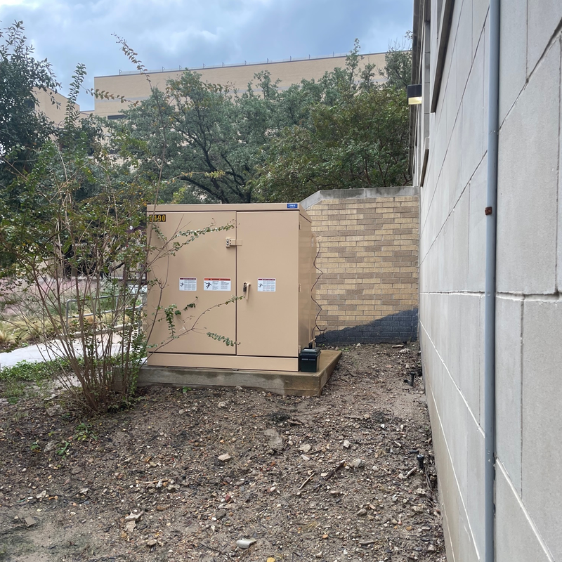 Picture of hidden fox