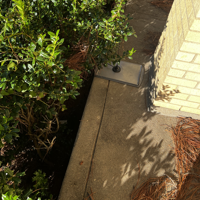 Picture of hidden fox