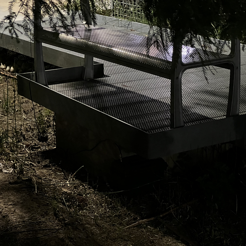 Picture of hidden fox