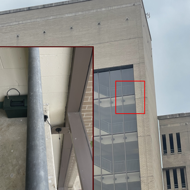 Picture of hidden fox