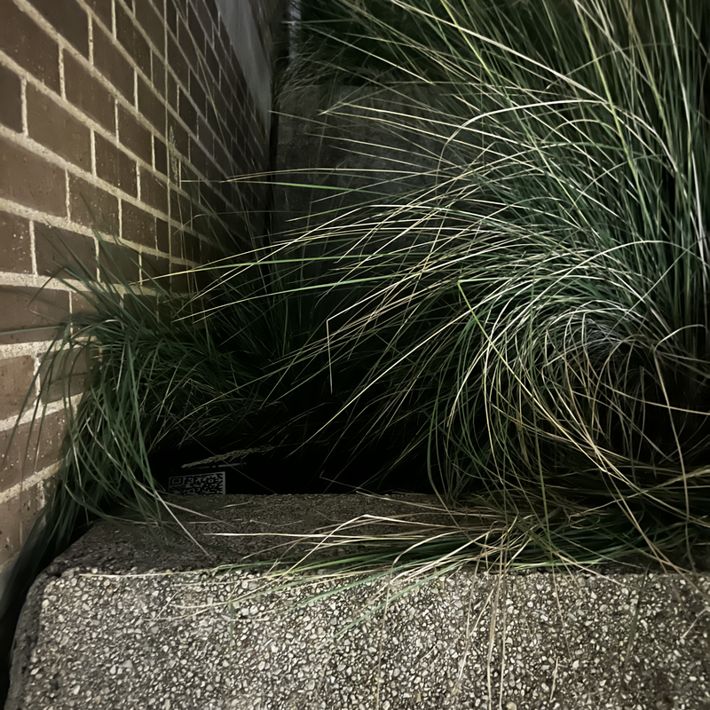 Picture of hidden fox