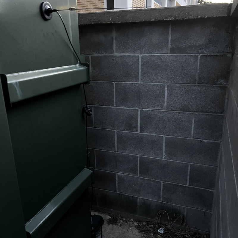 Picture of hidden fox