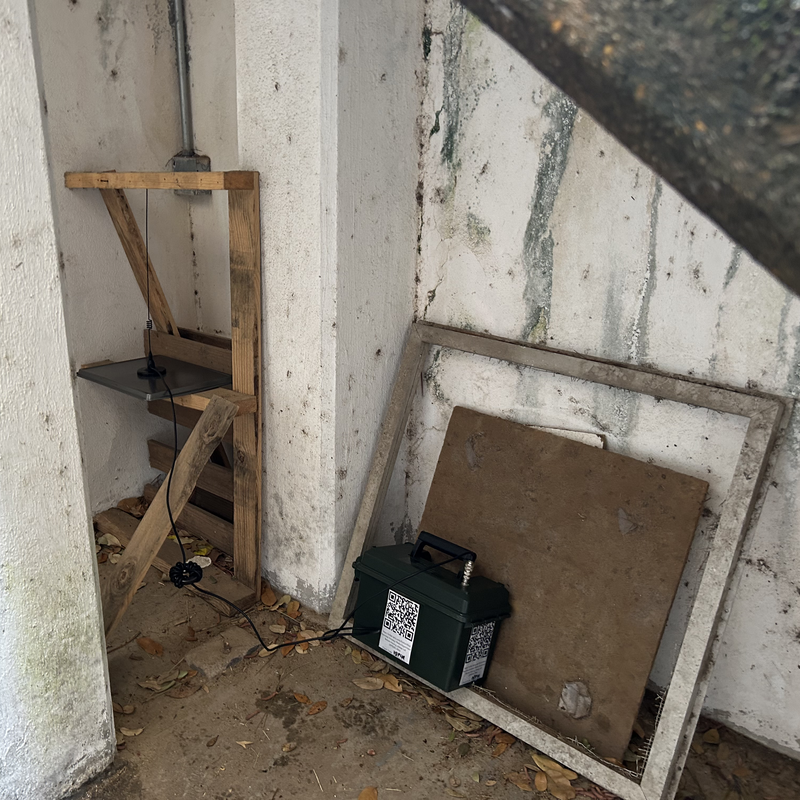Picture of hidden fox