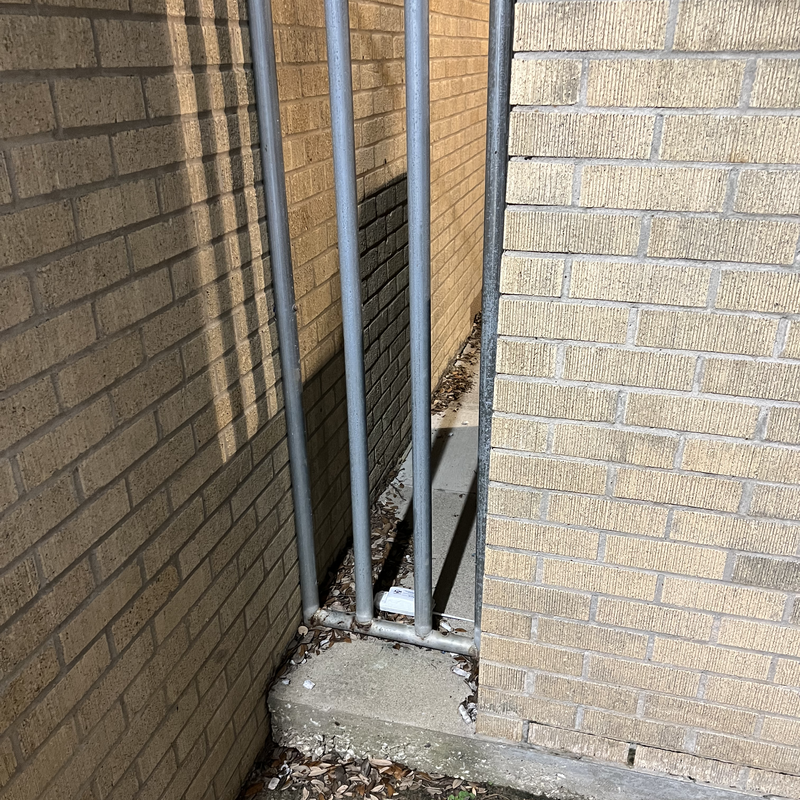 Picture of hidden fox