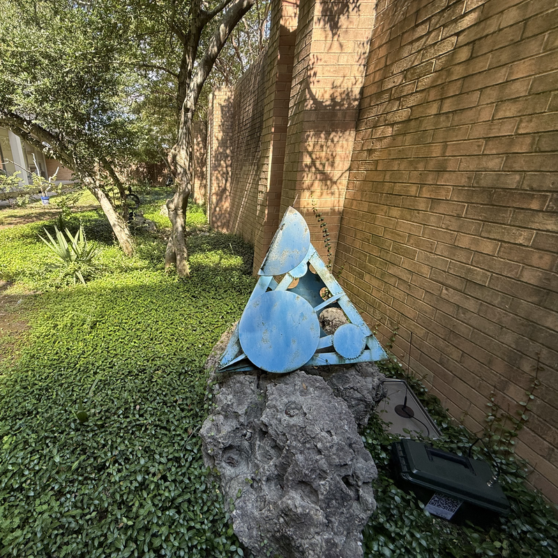 Picture of hidden fox