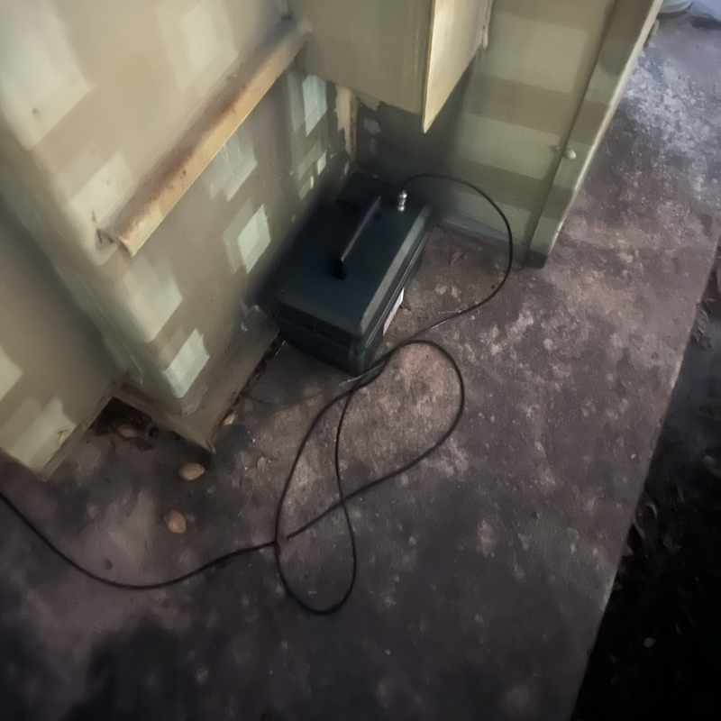 Picture of hidden fox
