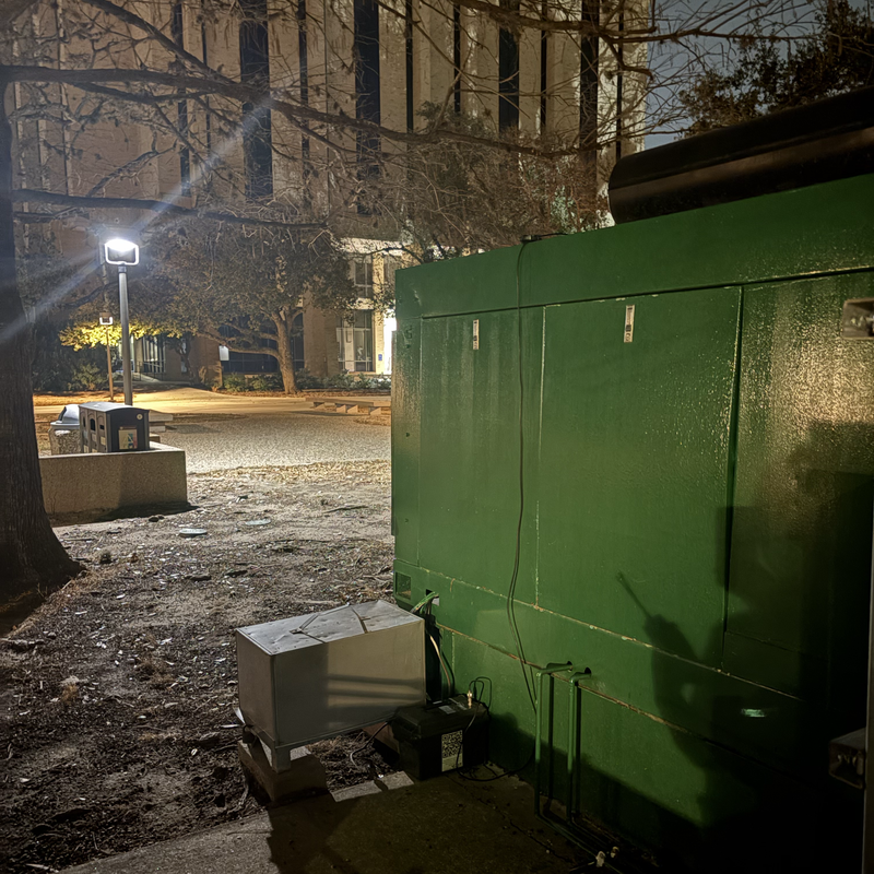 Picture of hidden fox